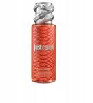 Roberto Cavalli Női parfüm Roberto Cavalli Mist Roberto Cavalli 250 ml (8052464898091)
