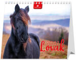 DAYLINER Asztali naptár, Dayliner, 15x13cm, Lovak, 2027 (KRN-DL7AS-LOFAL-HH)