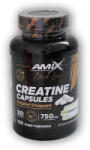 Amix Nutrition Black Line Creatine Creapure 120 kapslí (8594046792637)