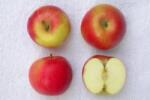 Pom Fruct Mar Idared (10 bucati) (PF)