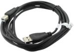 ASSMANN Cablu USB A mufa, USB B mufa, USB 2.0, lungime 3m, negru, ASSMANN, AK-300102-030-S, T145480