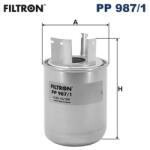 FILTRON Filtru Combustibil Pp987/1 Renault Kadjar/Koleos Ii (PP987/1)