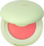 Catrice PISTACHIO CREAM DELIGHT Blush cremos C01