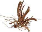  WIO WIO Blondspider Wood - lemn pentru acvariu M