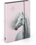 KARTON P+P Cutie pentru caiete A4 Jumbo cal romantic (5-71026)