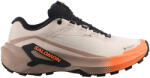 Salomon Genesis 2 GTX Rainy Day/Desert Tan/Nectarine Női futócipő UK 6, 5 Férfi futócipő