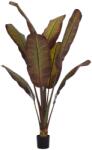  Planta decorativa in ghiveci, Bananier Japonez, 85×75×225 cm (UE-HM4740)