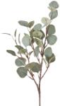  Creanga decorativa Eucalipt, verde 69 cm (IN-4066076039654)