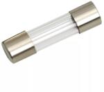 NEXUS Siguranta rapida 5x20mm 10A Nexus (05278)