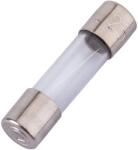 ESKA Siguranta F2A 250VAC ardere rapida 5x20 mm ESKA 520.620 (520.620)