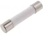 SCHURTER Siguranta intarziere 1.25A 250VAC 5x20mm SPT SCHURTER 0001.2505 (0001.2505)