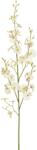  Creanga artificiala Oncidium, crem, 78 cm (IN-4016550312780)