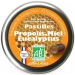 Aromandise Bomboane artizanale cu propolis, miere si eucalipt bio 45g Aromandise (3560468791232)