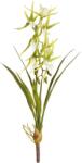  Floare artificiala Orhidee Spider, galben/verde, 67 cm (IN-4016550306536)