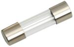 NEXUS Siguranta Rapida, 5×20 mm, 1A pentru Protectie Circuit Electric (GLB_05271)