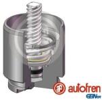 Autofren Seinsa Piston, etrier frana AUTOFREN SEINSA D025704K (D025704K)