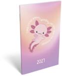 Lizzycalendar Agendă LIZZYCALENDAR A/6 săptămânală cu marcaje Fantastic 2027 (7540223010)