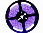 LEDmaster Prémium 60 LED/méteres 5m 12 V-os beltéri UV LED szalag (20220)