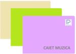 Paperland Caiet muzica A4, coperta plastic, 24 file, hartie 70g/mp, Paperland (24800085)
