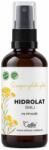 Cvetka Szalmagyopár-hidrolátum Cvetka (100 ml)