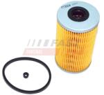 FAST filtru combustibil FAST FT39104 (FT39104)