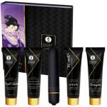 SHUNGA Szenvedélyes szeretkezéshez és élvezetekhez való készlet vibrátor Naughty Geisha Kit (697309082693)