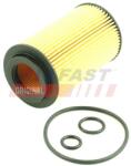 FAST Filtru ulei FAST FT38013 (FT38013)
