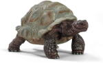 Schleich Wild Life Giant Tortoise - 14824 (14824) Figurina