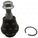 CTR Articulatie Sarcina/Ghidare Partea De Jos Cb0461 Ford Ranger (CB0461)