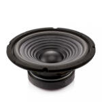 Carguard Difuzor HI-FI HOME 8 203mm 100 200W 8 ohmi 37Hz-4.5kHz Carguard HSP003 (HSP003)