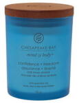 Chesapeake Bay Confidence & Freedom Candle - small tumbler (5038581114194)