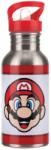 Paladone Super Mario Metal Water Bottle with Straw (T-MLX61021) - vexio