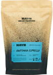 HAYB Coffee Cafea Boabe HAYB HAYB - Guatemala Espresso 1kg (0101012610)