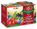 Fares Ceai Fares Goji si Fructe de padure 20 plicuri/cutie (DFAR20X2GGOJIFRPAD)