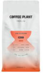 COFFEE PLANT Cafea Boabe LOW Blossom Filter Decofeinizata Aroma Menta | 800 g (cfd-2101014866)
