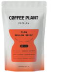 COFFEE PLANT Cafea Boabe Flow Mellow Decaf Filter Decofeinizata | 100 g (cfd-2102000019)