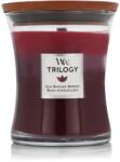 WoodWick Trilogy Warm Woods Lumânări parfumate 275 g typ Sun Ripened Berries