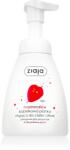 Ziaja Marshmallow Hands & Body Foam Wash 250 ml