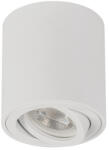 Kanlux BORD ONE DLP-50-W Mennyezeti spot lámpatest, d80x85mm, 220-240V AC, max 10W, GU10, PAR16, 20°, fehér, alumínium ötvözet (28784) (28784)