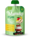 Mamuko Porridge de orez cu fructe bio 4+ luni 100g Mamuko (4779032700658)