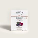 Maison Berger Paris Maison Berger Paris® Hypnotic Oud autós illatdiffúzor utántöltő