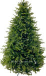 Xmasio Brad Artificial Evergreen Premium Full 3D 180 cm (VE-EP3D-180)