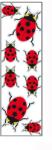 Paradox Since 1992 Sticker gargarite auto 50x16 cm decor diverse elemente (ABT-236)