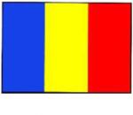 Paradox Since 1992 Sticker steag Romania 12x9 cm decor auto tricolor (ABT-013)