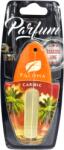 Paloma Odorizant Auto Paloma Parfum Lichid 5ml pentru Masina, Diverse Arome (03595-caribic)