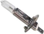 Paradox Since 1992 Bec halogen H1 55W 12V (AD697-bec)