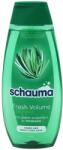 Schauma Sampon, Schauma, 400 ml Fresh Volume Rosmarin