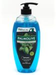 Palmolive Gel de Dus, Palmolive, Pompita 750 ml Men Sport Mint Cedar Oil