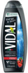 Vidal Gel de Dus, Vidal, 500 ml Ginseng Guarana
