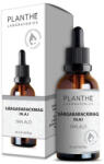  Akciós Planthé Tápláló Sárgabarackmag Olaj 50 ml